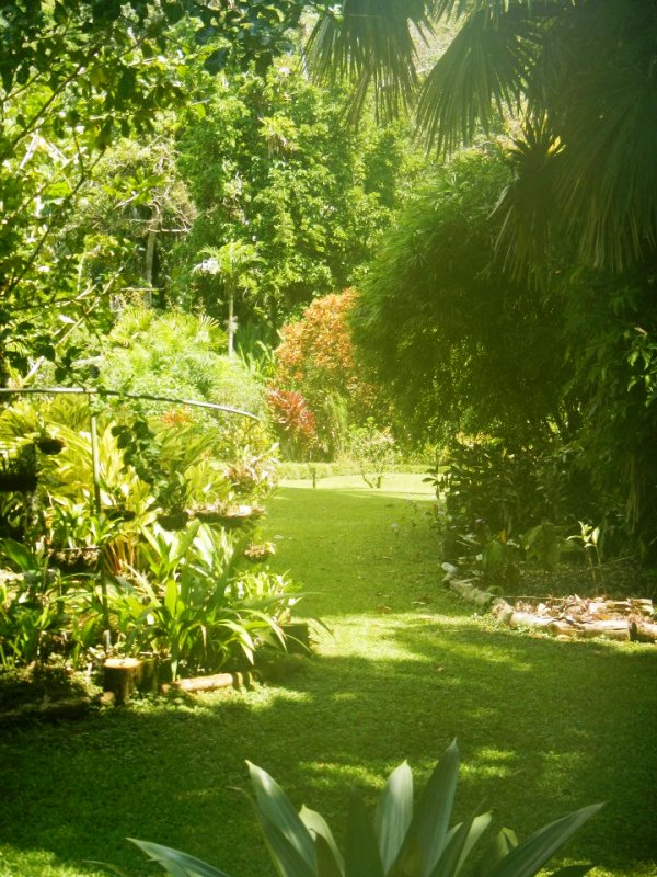 Casa Orquideas Botanical Garden Golfo Dulce Costa Rica