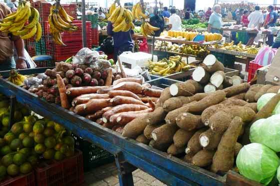 Farmers market Costa Rica