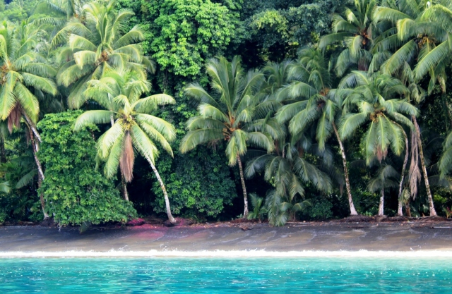 Playa San Josecito, Golfo Dulce, Costa Rica