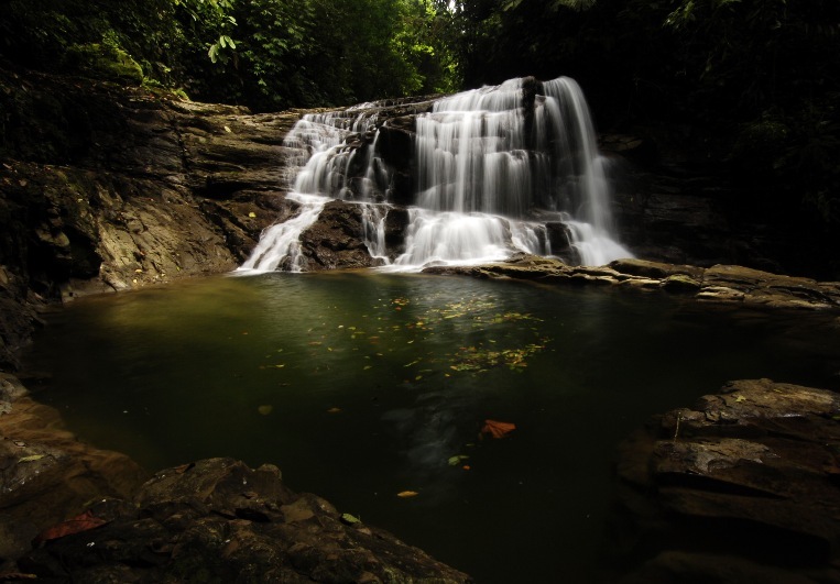 Puma Waterfall at Veragua Rainforest in Costa Rica
