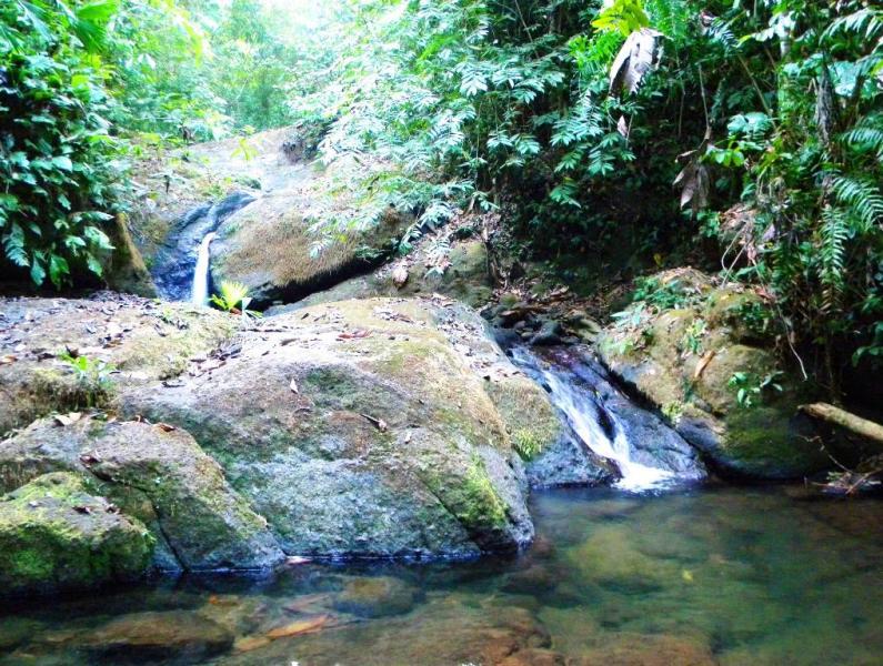 Astua Waterfalls, Portasol Rainforest & Ocean View Living in Costa Rica