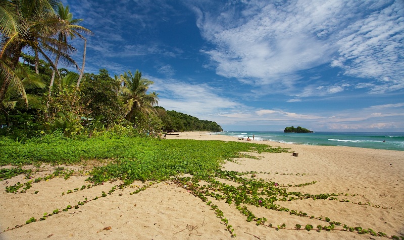 Playa Cocles Costa Rica