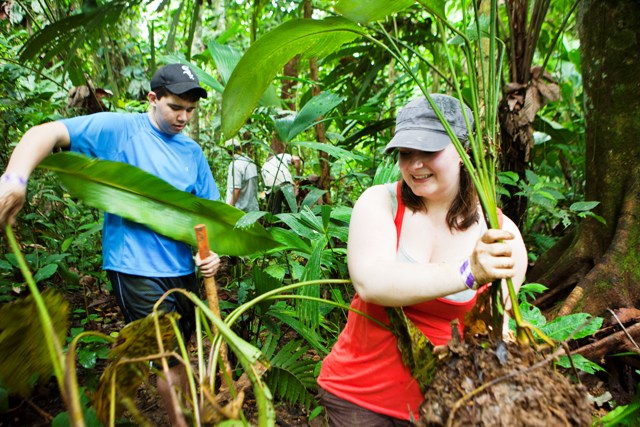 Veragua Rainforest tree planting program