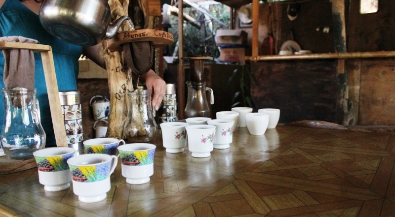 El Toledo coffee tour Atenas Costa Rica