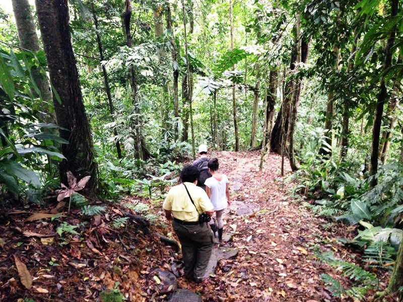 Veragua Rainforest in Costa Rica