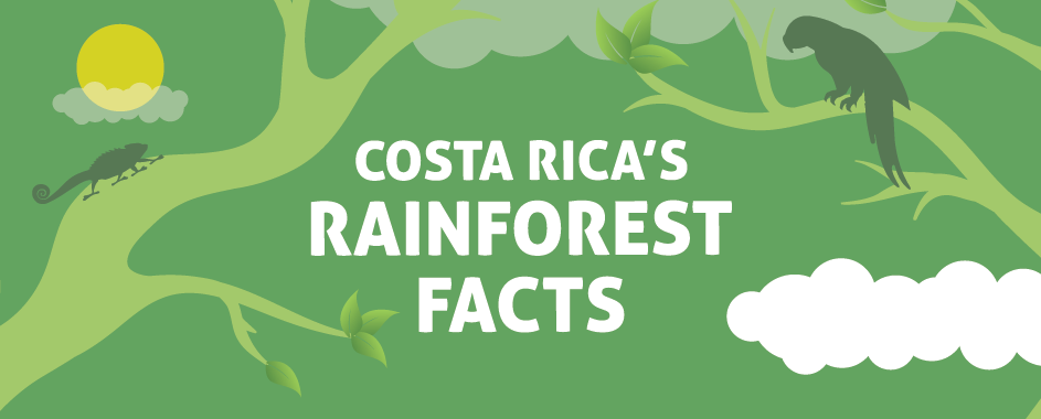 COSTA RICA´S RAINFOREST FACTS - Enchanting Costa Rica