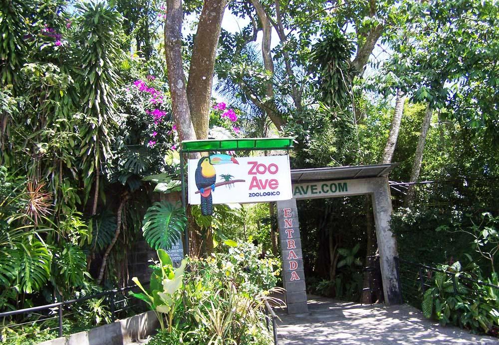 Zoo Ave in Costa Rica