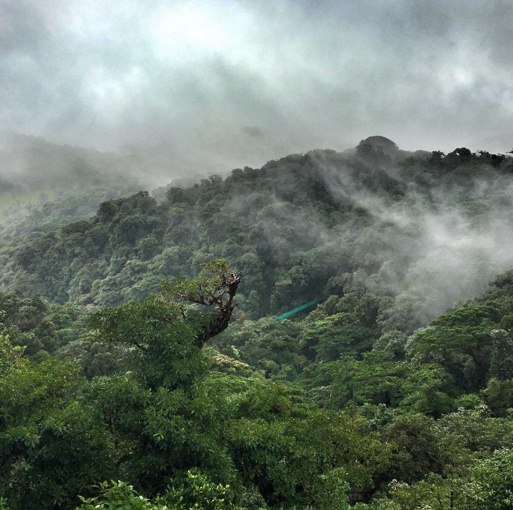 Cloud Forest view, hanging bridge, photo credit elefanttravel