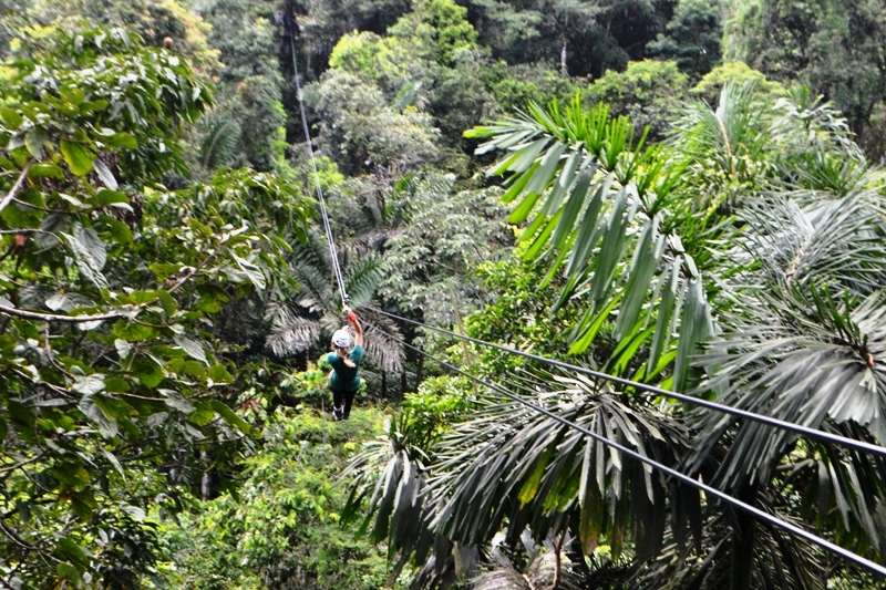 Veragua Rainforest canopy tour in Costa Rica