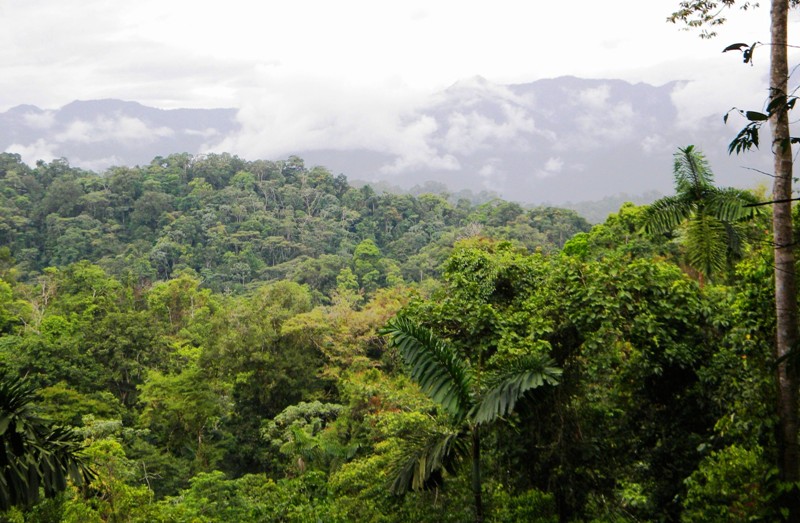 Veragua Rainforest adventure park in Costa Rica
