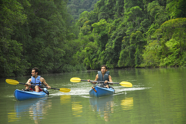 Mangrove kayaking in southern Costa Rica