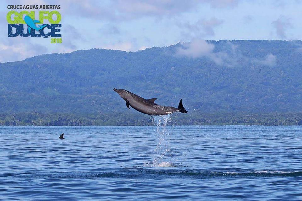 cruce-aguas-abiertas-golfo-dulce-2016