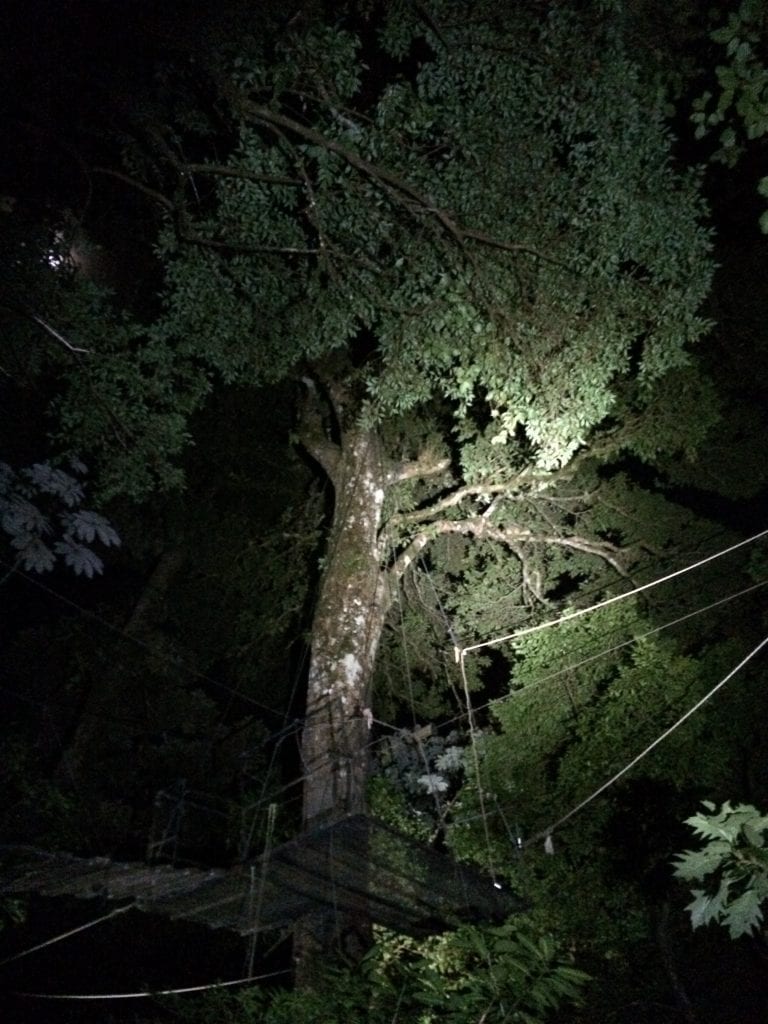 Perfect observation spot during Night Walk at El Establo Mountain Hotel