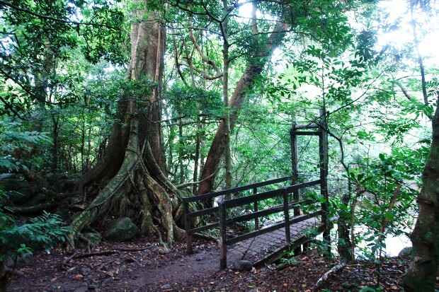 rincon-de-la-vieja-national-park-costa-rica