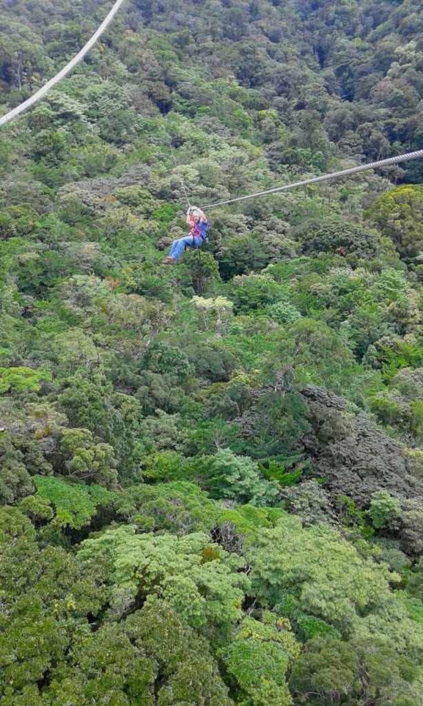 One of the lines through the cloud forest at Tree Top Canopy at El Establo Mountain Hotel