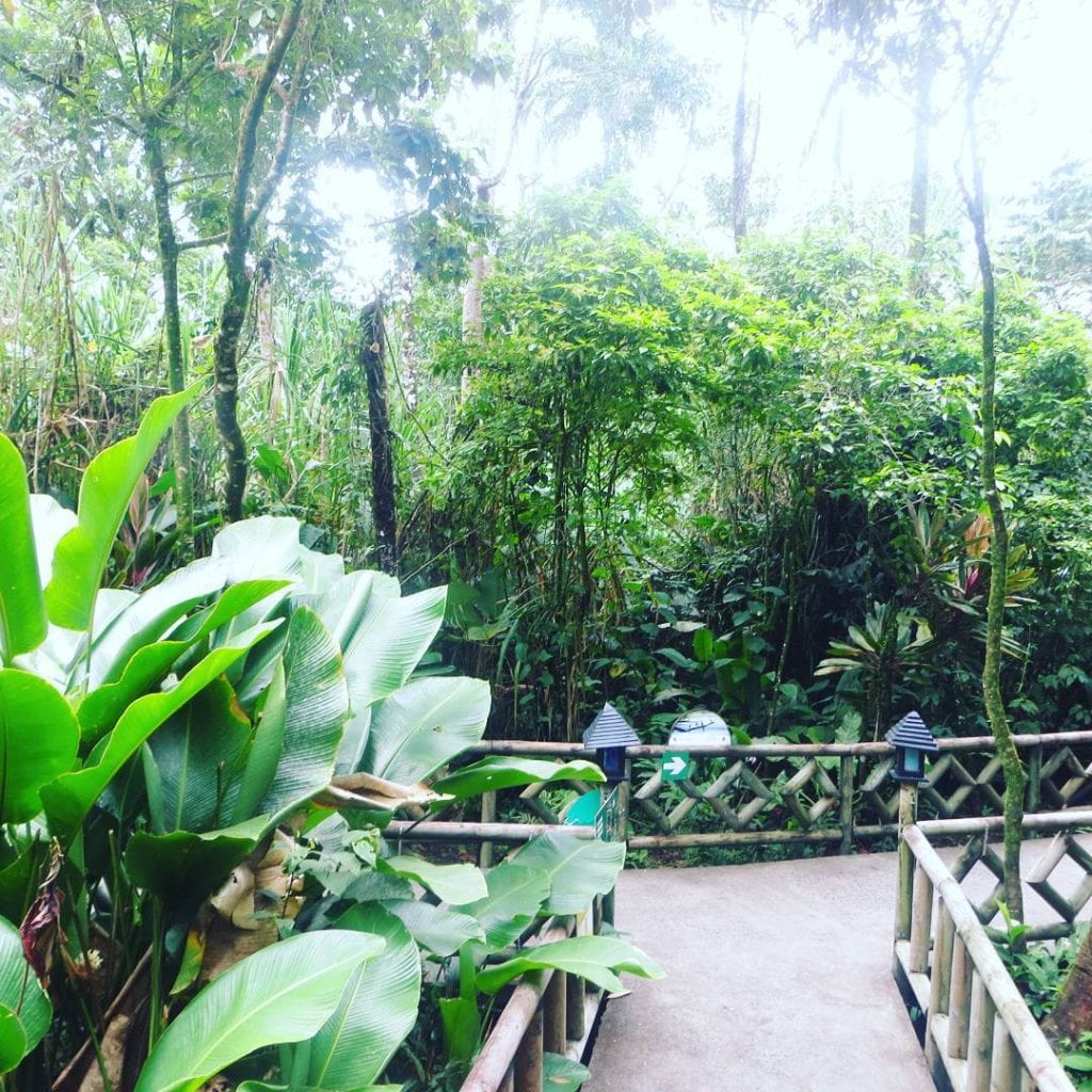 Lush gardens at Pachira Lodge, Tortuguero. Photo credit misviajesporelmundo.