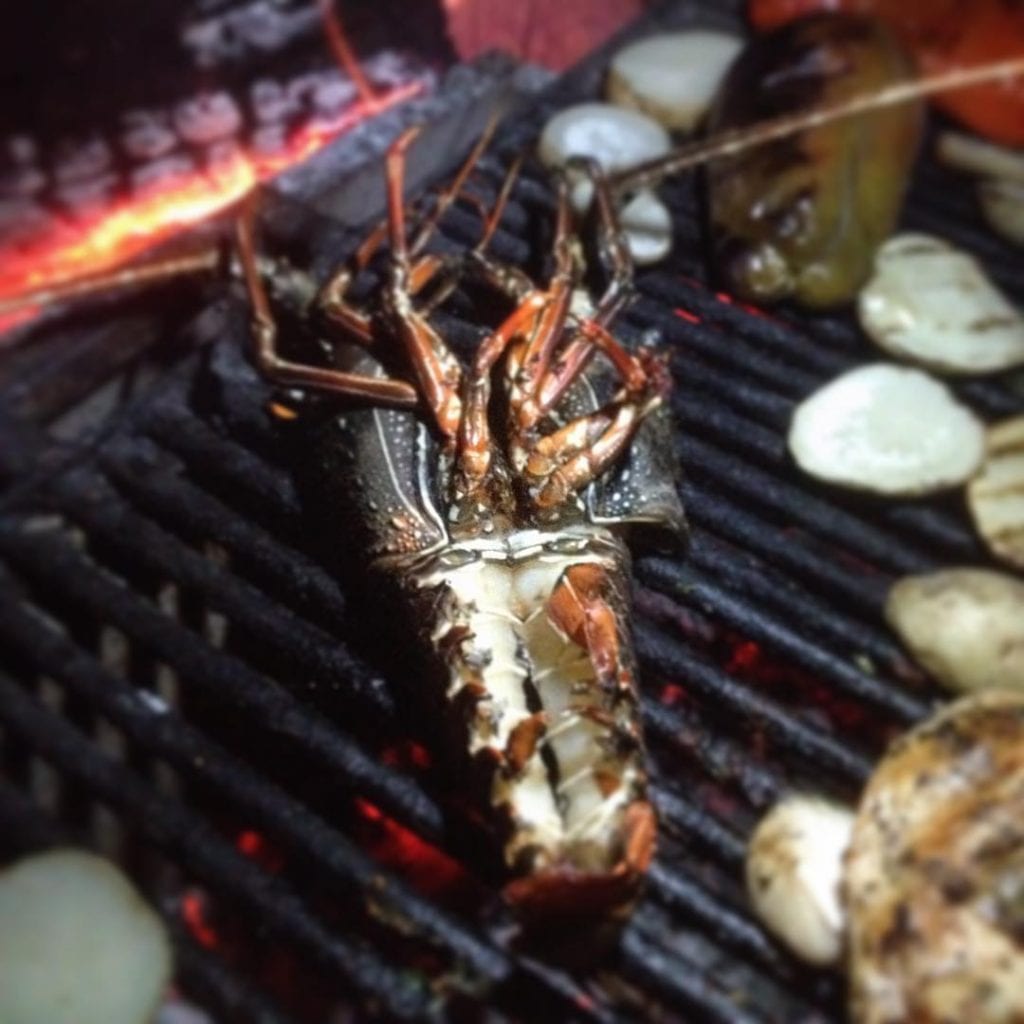 Grilled Lobster ,photo by lucianoriotti.