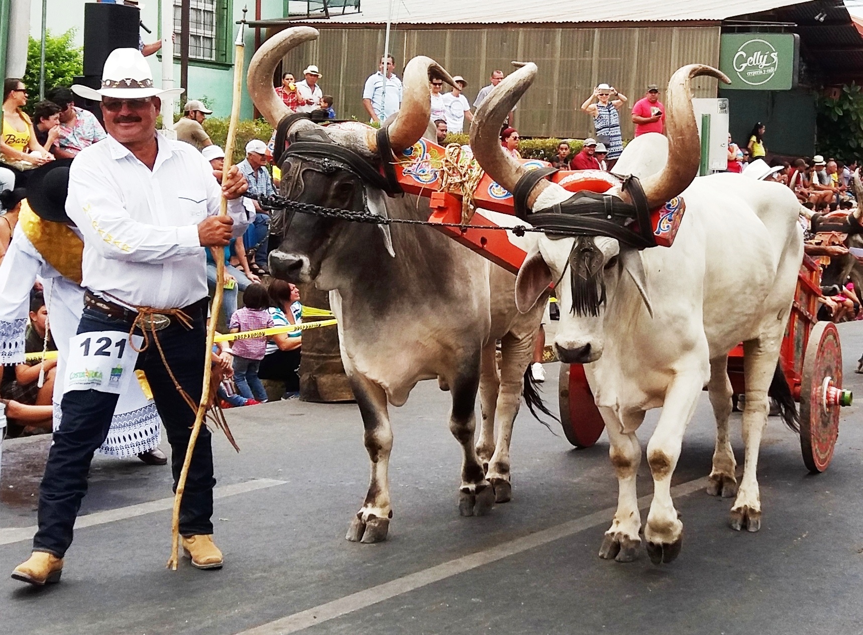 Atenas Costa Rica oxcart parade
