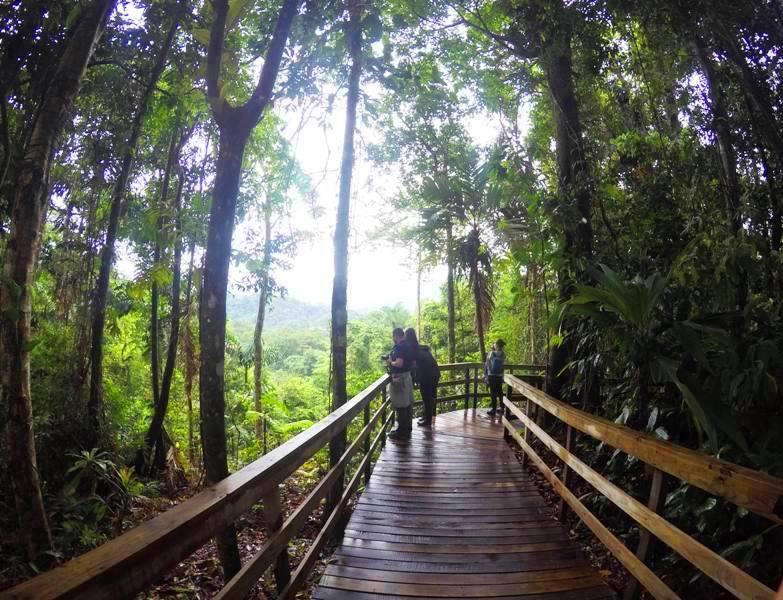 Visit the Costa Rica rainforest at Veragua Eco-Adventure Park by the Port of Limon.