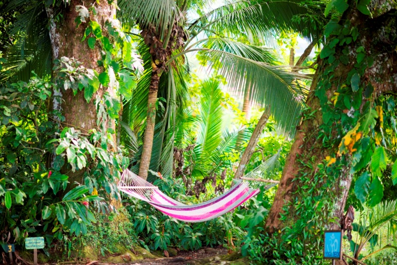 Playa Nicuesa Rainforest Lodge in Costa Rica