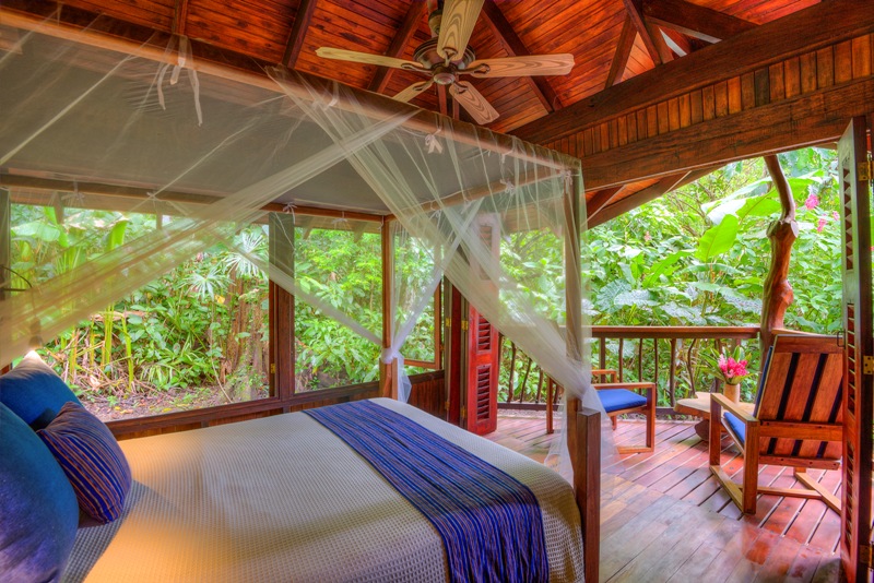 Rooms at Playa Nicuesa Rainforest Lodge