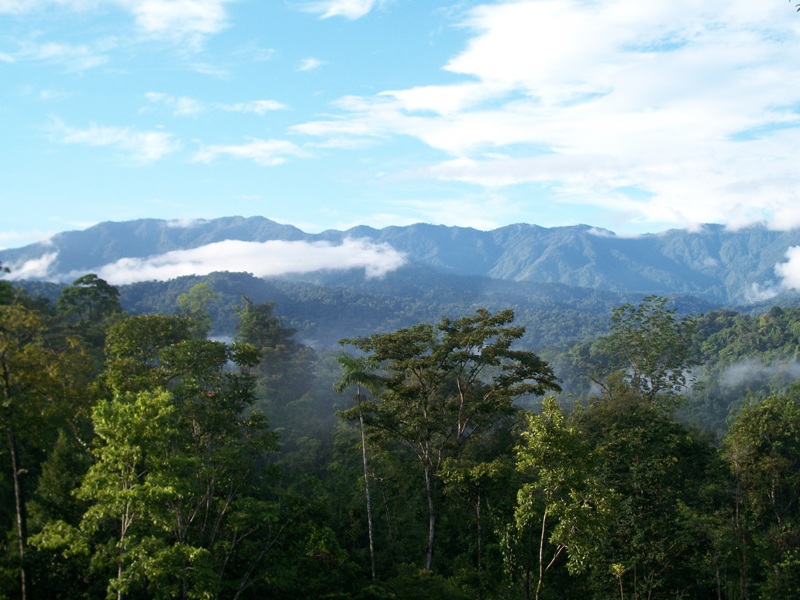 Costa Rica Caribbean mountains by Veragua Rainforest