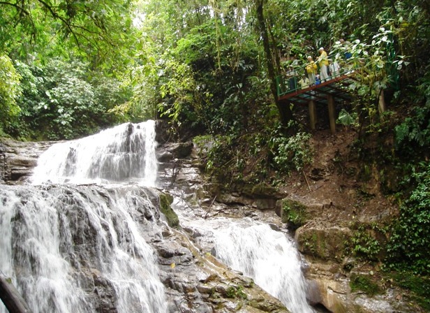 Waterfalls at Veragua Rainforest in Costa Rica