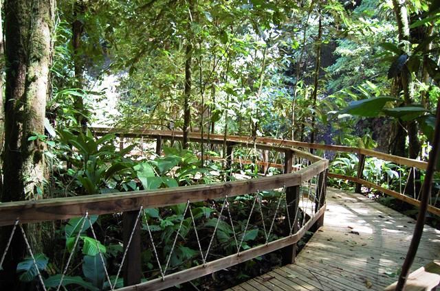Veragua Rainforest Eco-adventure in Costa Rica