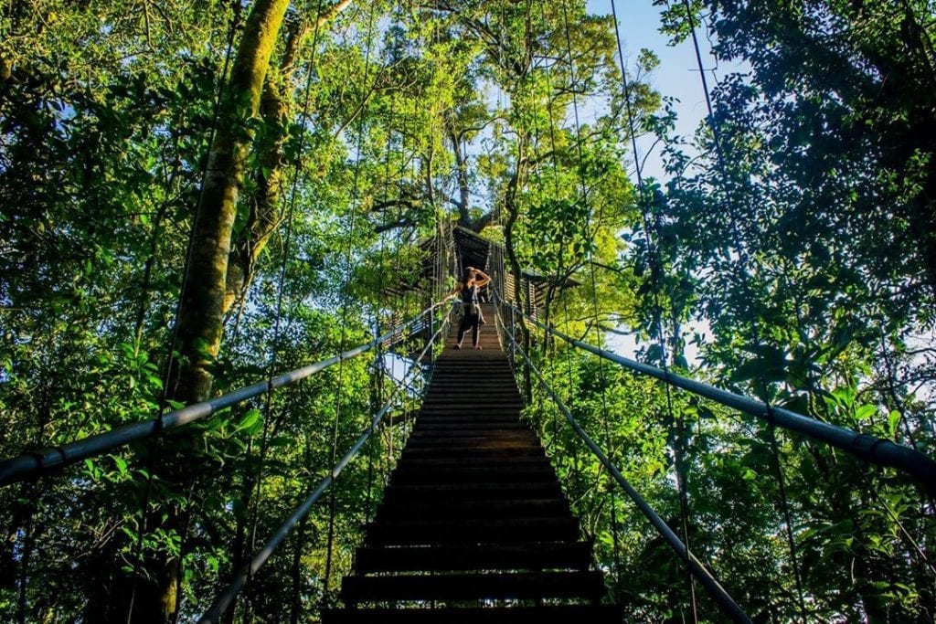 Bridge over rainforest at Sensoria, photo credit guanacastetourscr.