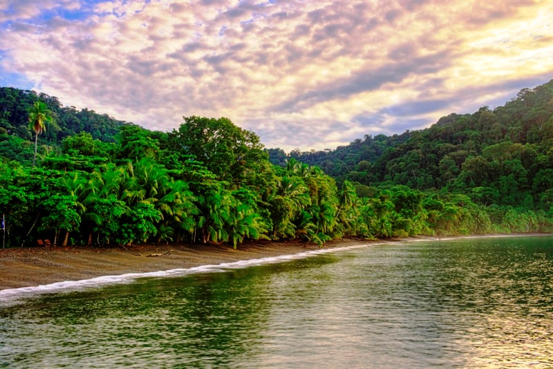 playa nicuesa rainforest lodge