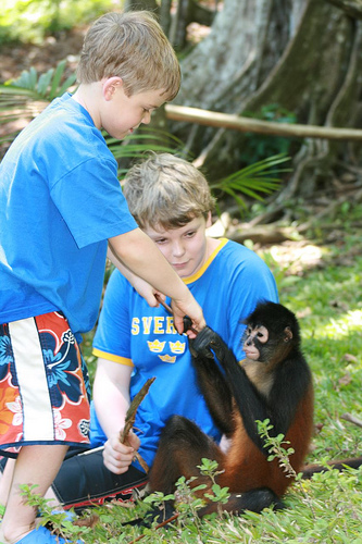 Osa Wildlife Sanctuary