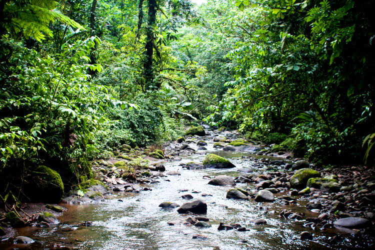 When is the Best Time to Travel to Costa Rica? | Enchanting Costa Rica