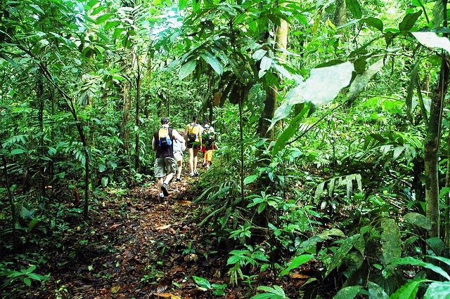 Hiking at Playa Nicuesa Rainforest Lodge in Costa Rica