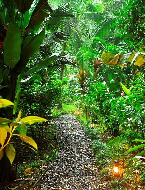 Playa Nicuesa Rainforest Lodge gardens