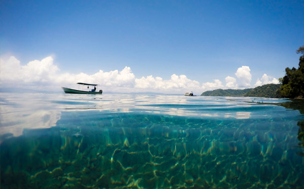 Golfo Dulce Costa Rica