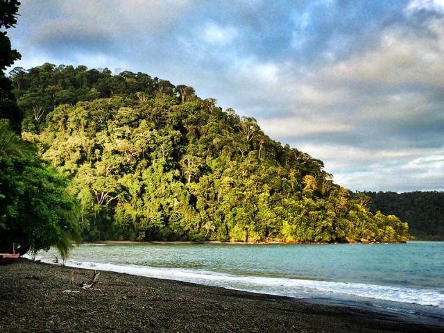 playa nicuesa rainforest lodge