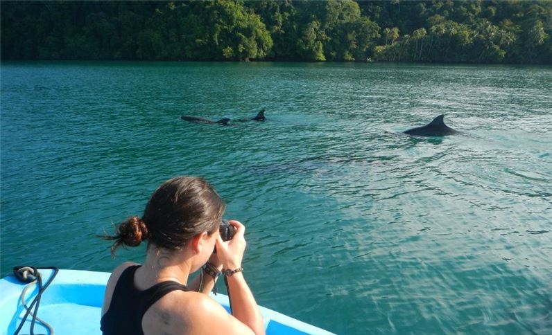 Golfo Dulce boat tour Nicuesa Lodge