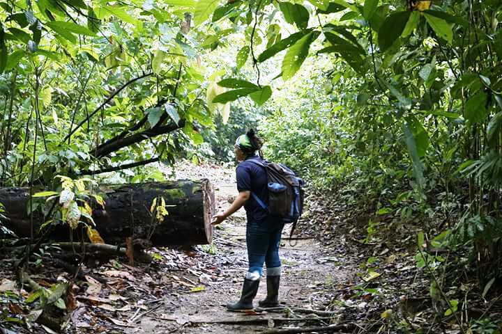 guides at Nicuesa Lodge