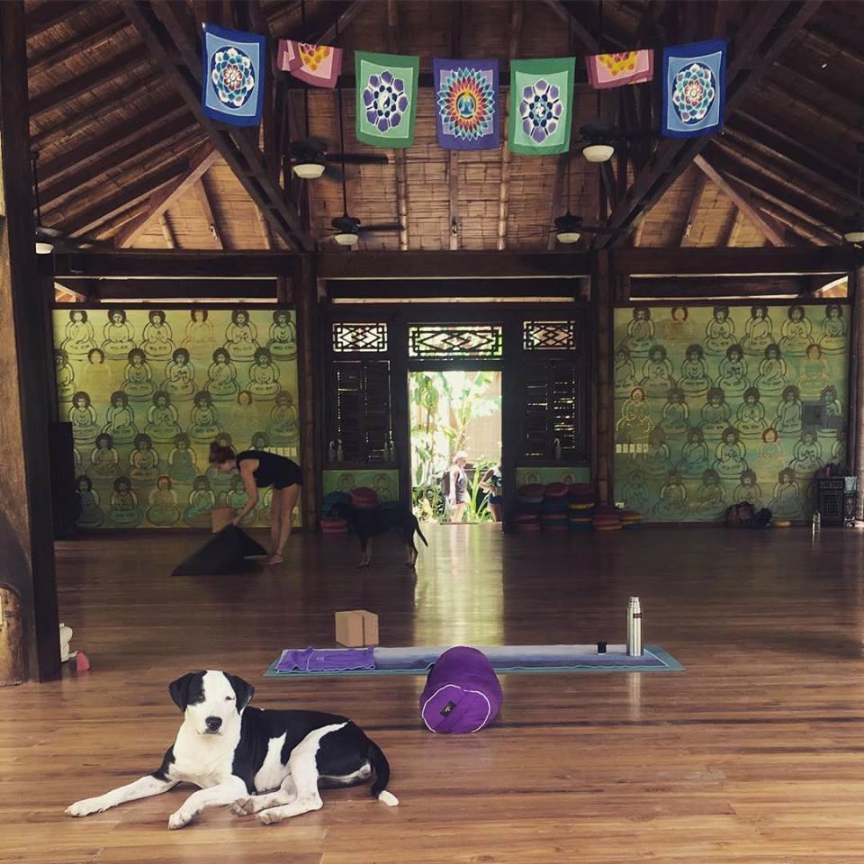 Yoga at Pranamar Villas