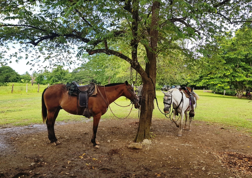 Hacienda Ario Tours Santa Teresa Costa Rica