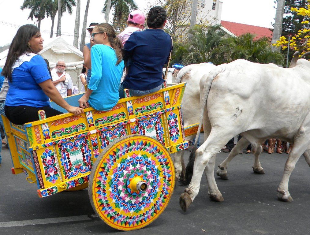 Oxcarts in Costa Rica