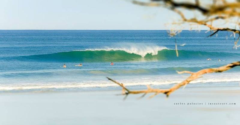 Surfing Santa Teresa, image by Carlos Palacios